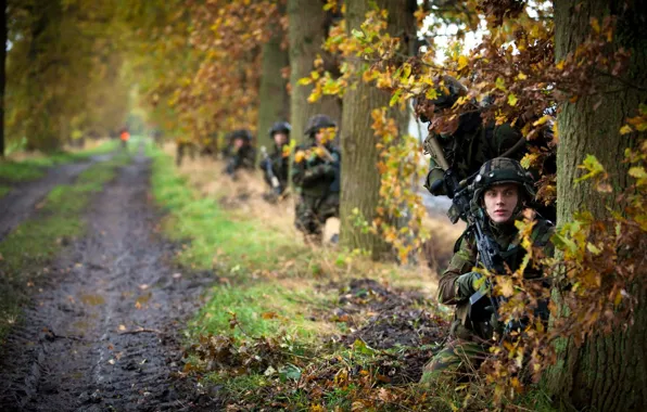 Картинка оружие, солдаты, Royal Netherlands Army