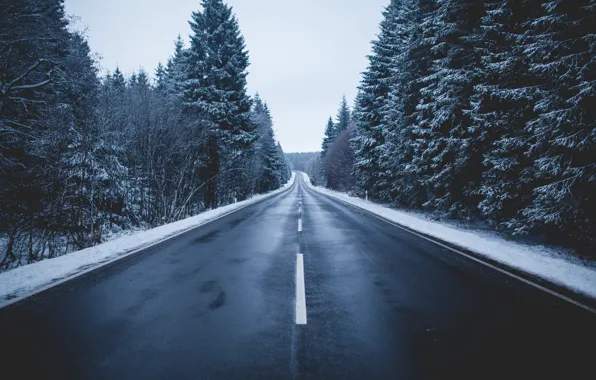 Зима, дорога, лес, небо, снег, деревья