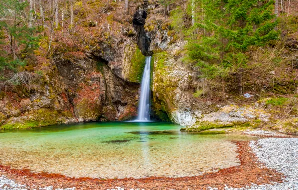 Лес, скала, камни, водопад, мох, Словения, Bohinj, Grmecica waterfall