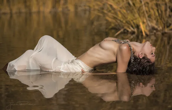 Грудь, вода, поза, отражение, Sophia Blake, Jack Russell