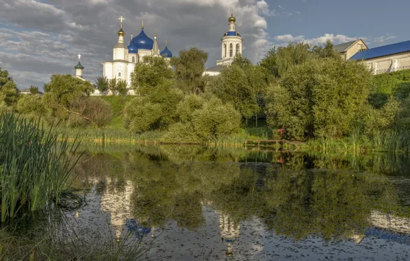 Картинка лето, трава, деревья, пейзаж, природа, село, монастырь, водоём