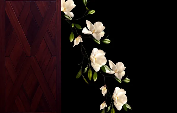 Plant, branch, bunch, blooming, magnolias