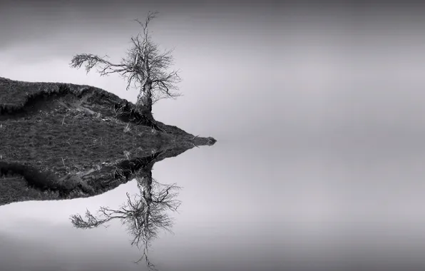 Деревья, пейзаж, ночь, озеро