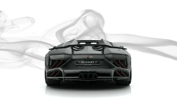 Roadster, Lamborghini, суперкар, вид сзади, Aventador, Mansory, 2019, Carbonado Evo