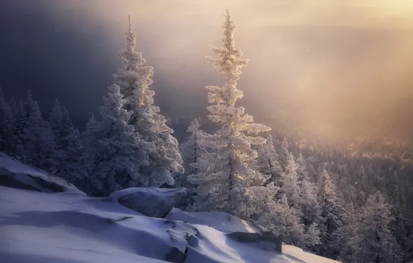 Картинка зима, лес, снег, ели, склон, сугробы, Россия, Уральские горы