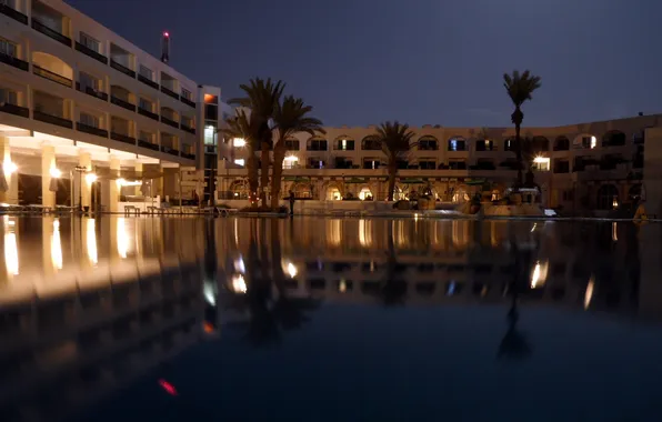 Вода, огни, пальмы, Ночь, курорт, Тунис
