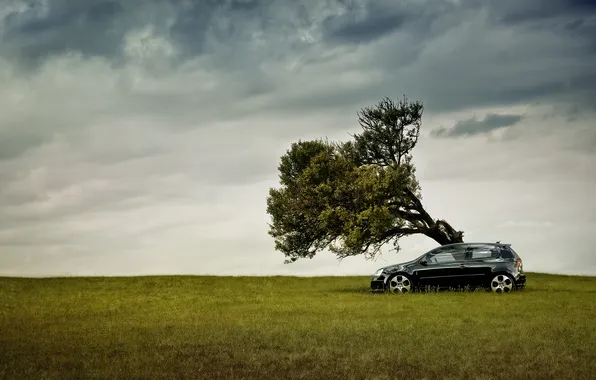 Картинка поле, небо, природа, дерево, Volkswagen, диски, black