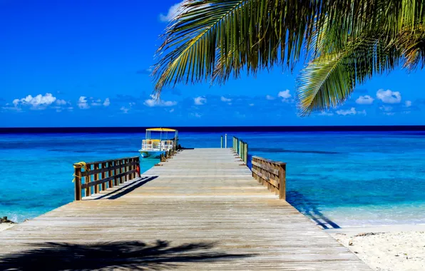 Картинка море, пальмы, отдых, пирс