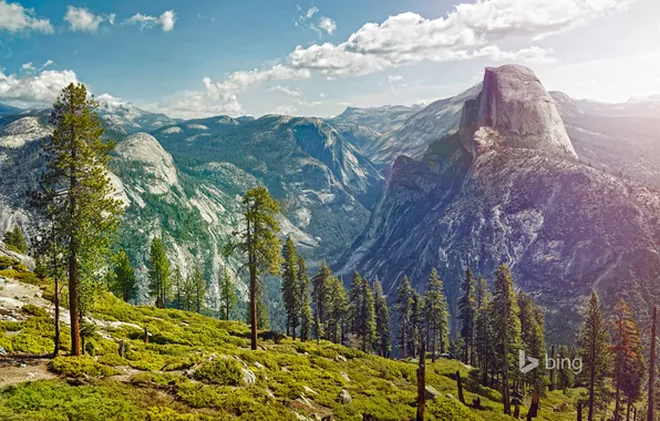 Картинка снег, деревья, горы, природа, Калифорния, США, Yosemite National Park