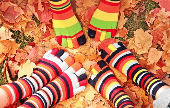 Осень, листья, ноги, носочки