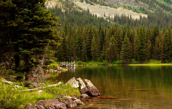 Картинка лес, трава, деревья, озеро, камни, США, Glacier National Park, Swiftcurrent Lake