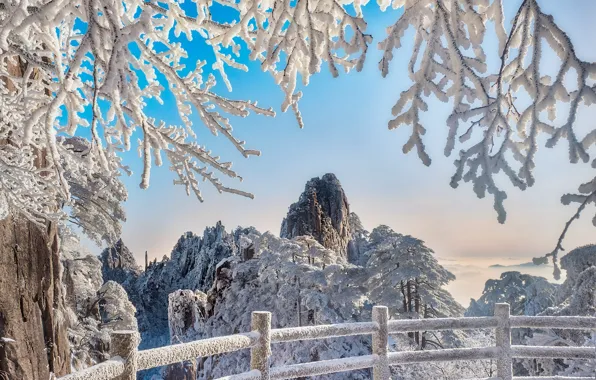 Картинка зима, снег, деревья, пейзаж, горы, ветки, природа, ограждение