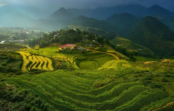 Картинка облака, горы, рис, террасы, vietnam, rice terraces, Вьтнам
