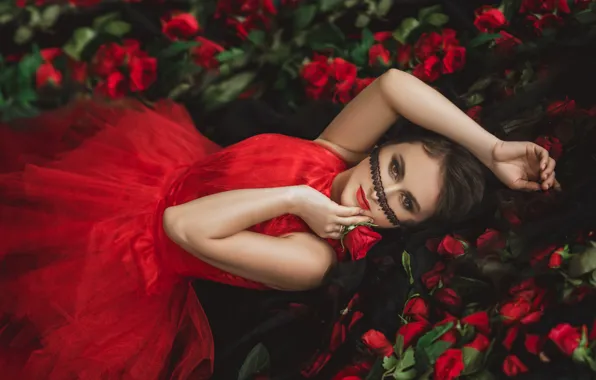 Взгляд, девушка, цветы, лицо, поза, женщина, портрет, розы