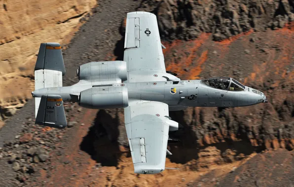 Thunderbolt II, одноместный, A-10C, двухдвигательный штурмовик, Бородавочник
