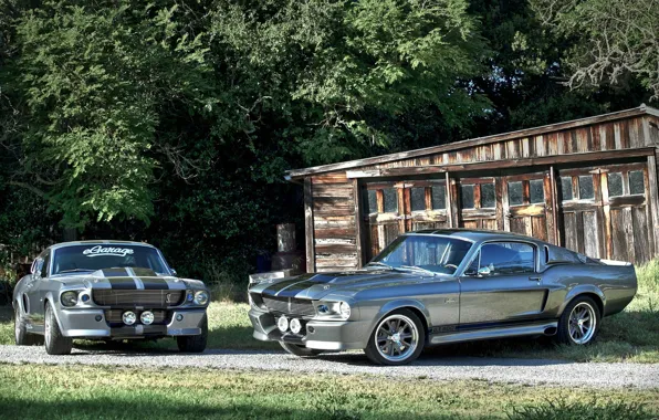 GT500, Ford Mustang, Shelby Eleanor, Форд Мустанг