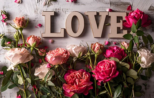 Картинка любовь, цветы, романтика, розы, love, happy, День святого Валентина, flowers