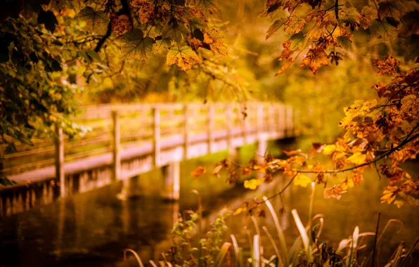 Картинка осень, мост, река