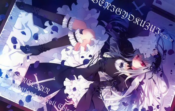 Крест, лепестки, чемодан, красные глаза, rozen maiden, suigintou, оборки