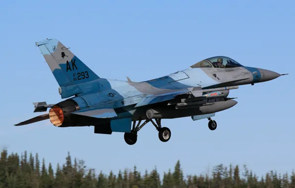 Истребитель, Форсаж, USAF, Взлет, F-16 Fighting Falcon, Шасси, Aggressor Squadron