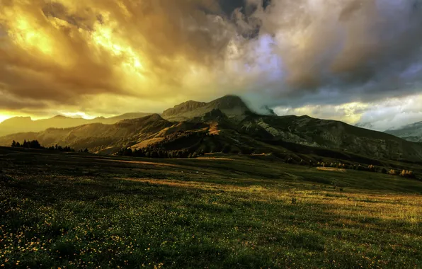 Картинка поле, горы, тучи, Франция, Альпы, Alpes, Provence