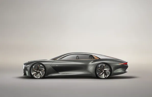 Concept, Bentley, вид сбоку, 2019, EXP 100 GT