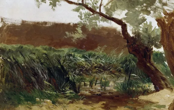 Картинка пейзаж, природа, картина, Карлос де Хаэс, Рогоза