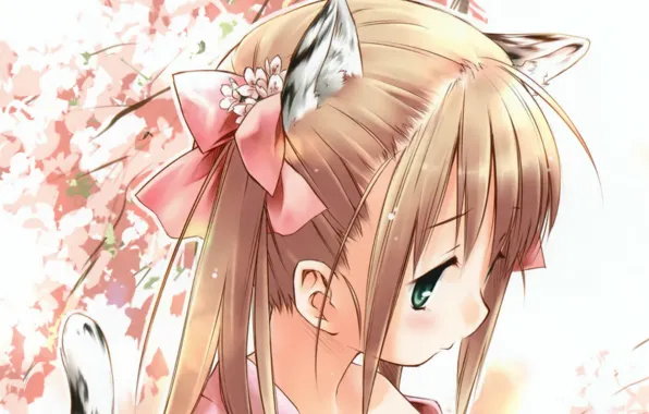 Голова, сакура, девочка, хвост, бант, ушки, челка, neko girl