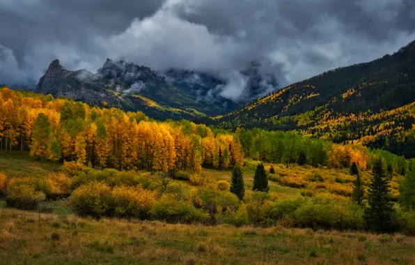 Картинка осень, лес, горы, тучи, Колорадо, США, дождливый день, Сан Хуан Маунтинс