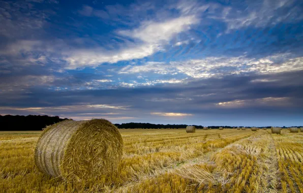 Картинка поле, небо, облака, тучи, Англия, вечер, урожай, сено