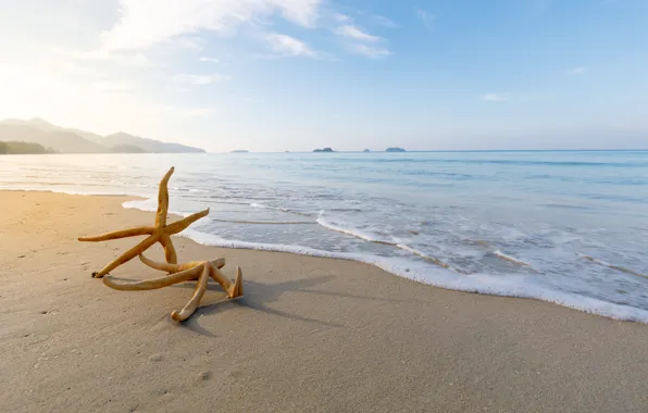 Песок, море, пляж, звезда, summer, beach, sea, морская