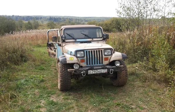 Тюнинг, аэрография, desert, rats, Wrangler, Jeep, zetkey