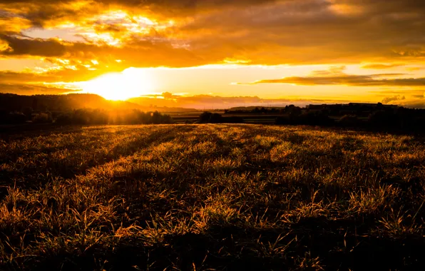 Clouds, Sky, Grass, Sun, Sunset, Autumn, View, Trees