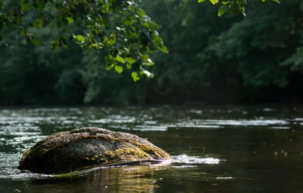 Вода, река, течение, камень