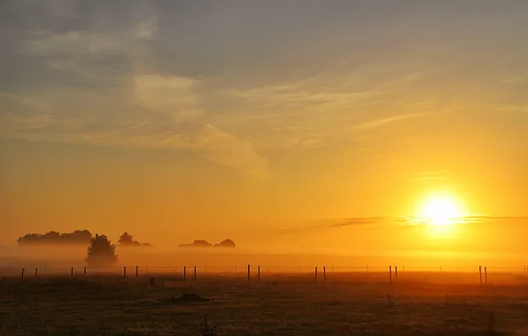 Поле, солнце, туман, забор, утро, field, morning, sun