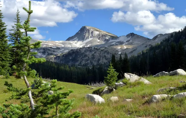 Небо, облака, деревья, горы, камни
