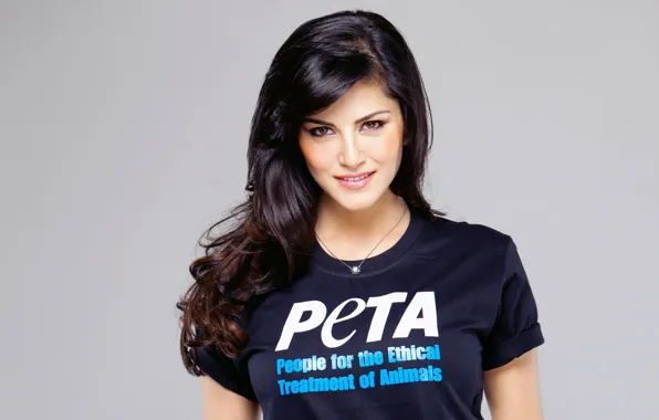 Взгляд, модель, актриса, брюнетка, футболка, Sunny Leone