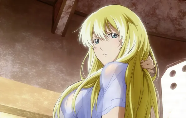 Картинка взгляд, девушка, обои, блондинка, длинные волосы, anime, Sigyn Erster, Broken Blade