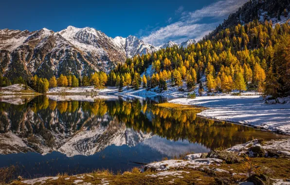 Картинка осень, лес, снег, деревья, горы, озеро, отражение, Австрия