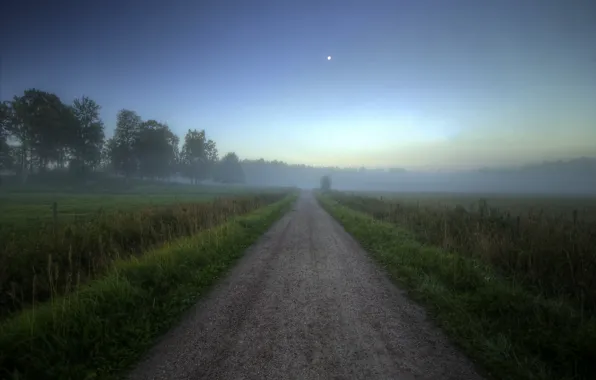 Картинка дорога, поле, лес, лето, туман, рассвет, утро