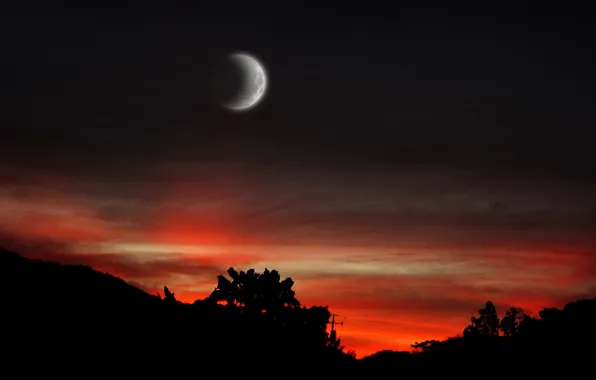 Moon, sunset, nihgt