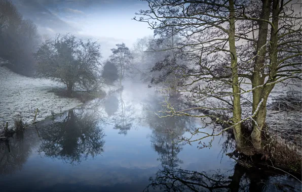 Река, дерево, ольха, Winter on the Wye