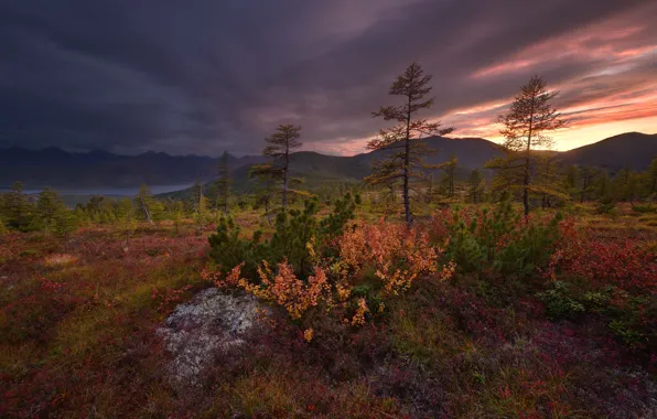 Картинка лес, небо, деревья, закат, горы, берег, вечер, водоем