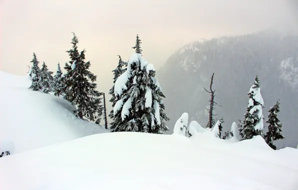 Картинка зима, снег, горы, туман
