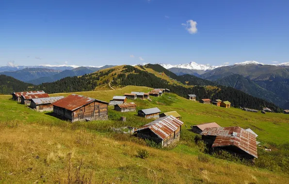 Mountain, village, turkey, plateau, kaçkar