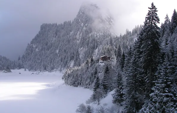 Картинка зима, лес, горы, домик