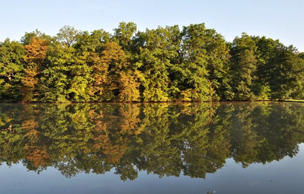 Autumn, lake, woodland