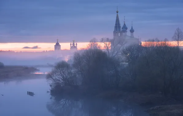 Осень, небо, деревья, ветки, туман, рассвет, весна, утро