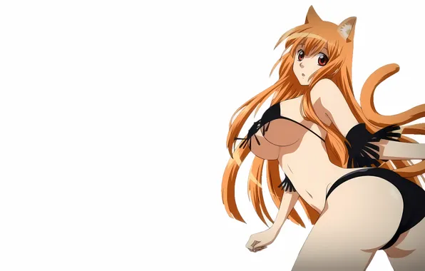Girl, sexy, ass, cleavage, long hair, boobs, animal ears, anime