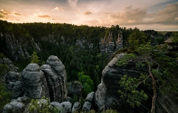 Лес, горы, скалы, Эльбские Песчаниковые горы